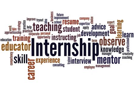 Intern Program