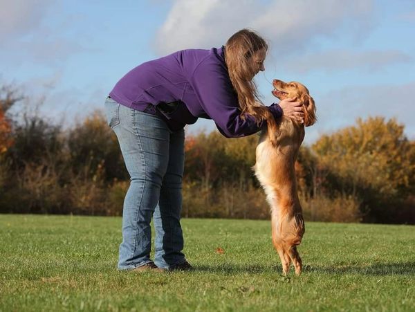 Lucy with Pippa the working cocker spaniel