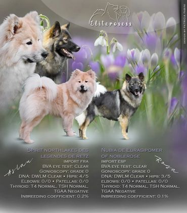 Rosa & Aslan pairing picture 2023