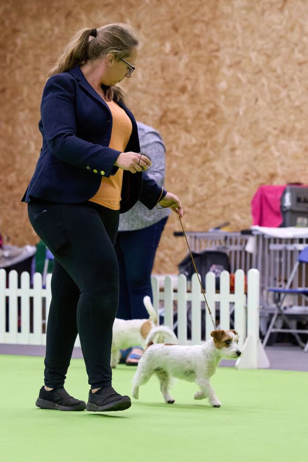 Woman walking a small dog on a leash indoors.