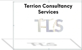Terrion Consultancy Services