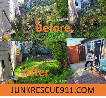 Junk Removal in Aptos. Tree down after high winds. Before and After Pictures of Tree Removal