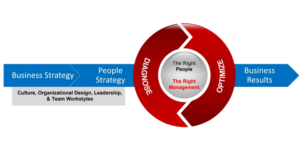 Organizational culture feedback loop