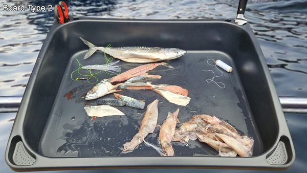 boat bait tray