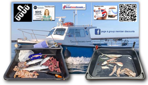 boat bait boards