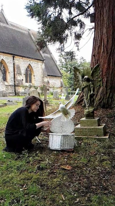 pigeon coming out of the box at a funeral
