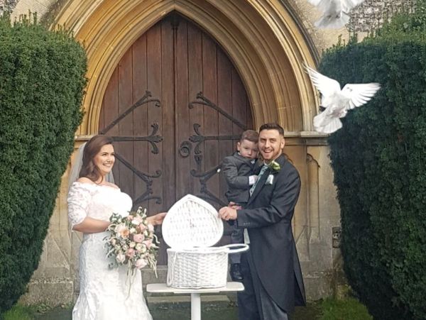 pigeon coming out of the box at a wedding