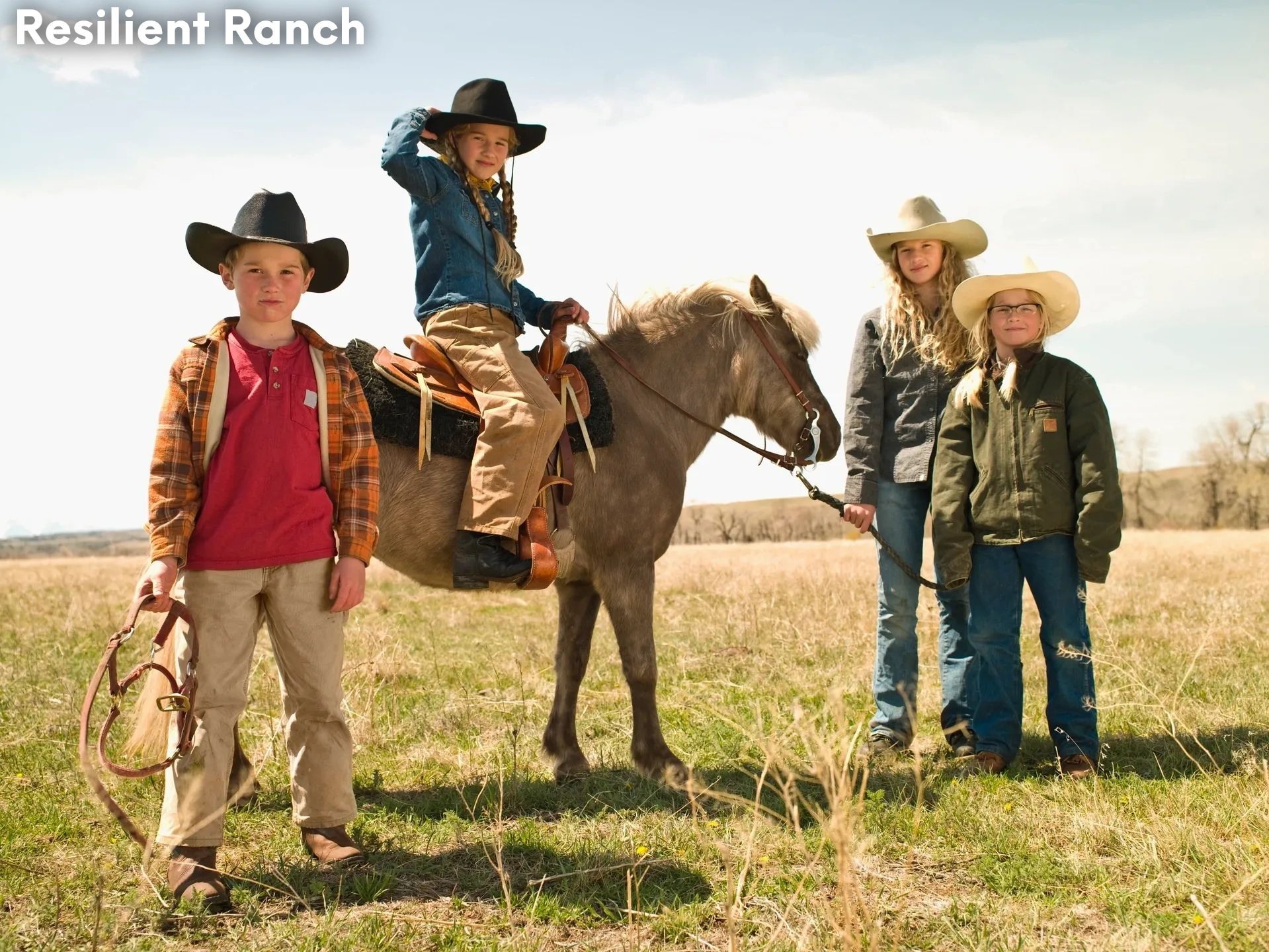 Four kids in cowboy hats with a small horse in a field.