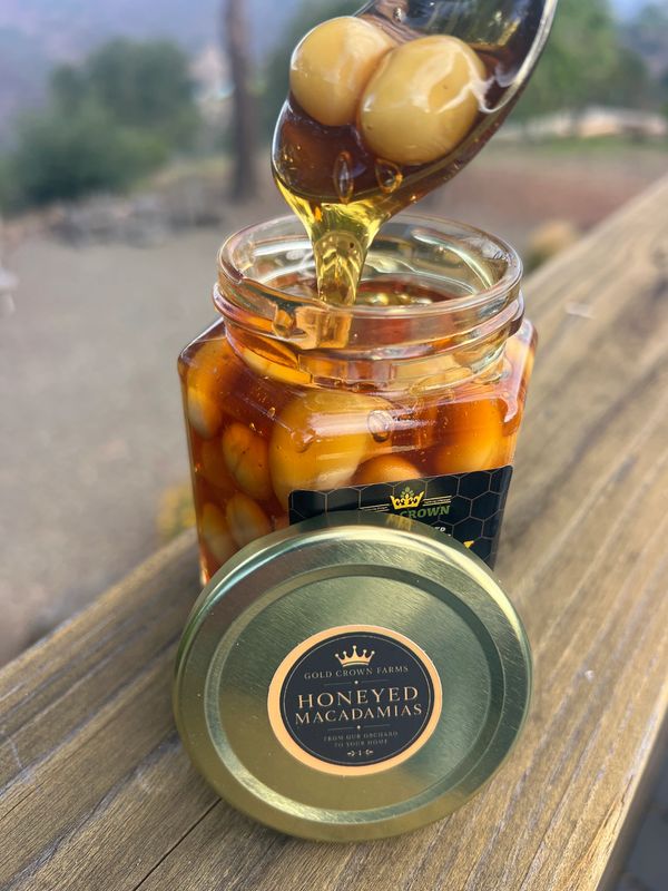 Jar of honeyed macadamias with honey dripping from a spoon.