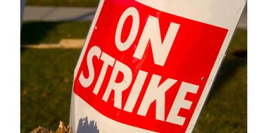 Grassroots organizing from building coalitions to recruiting experts to managing campaigns.