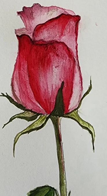 A delicate watercolor painting of a red rosebud with green leaves.