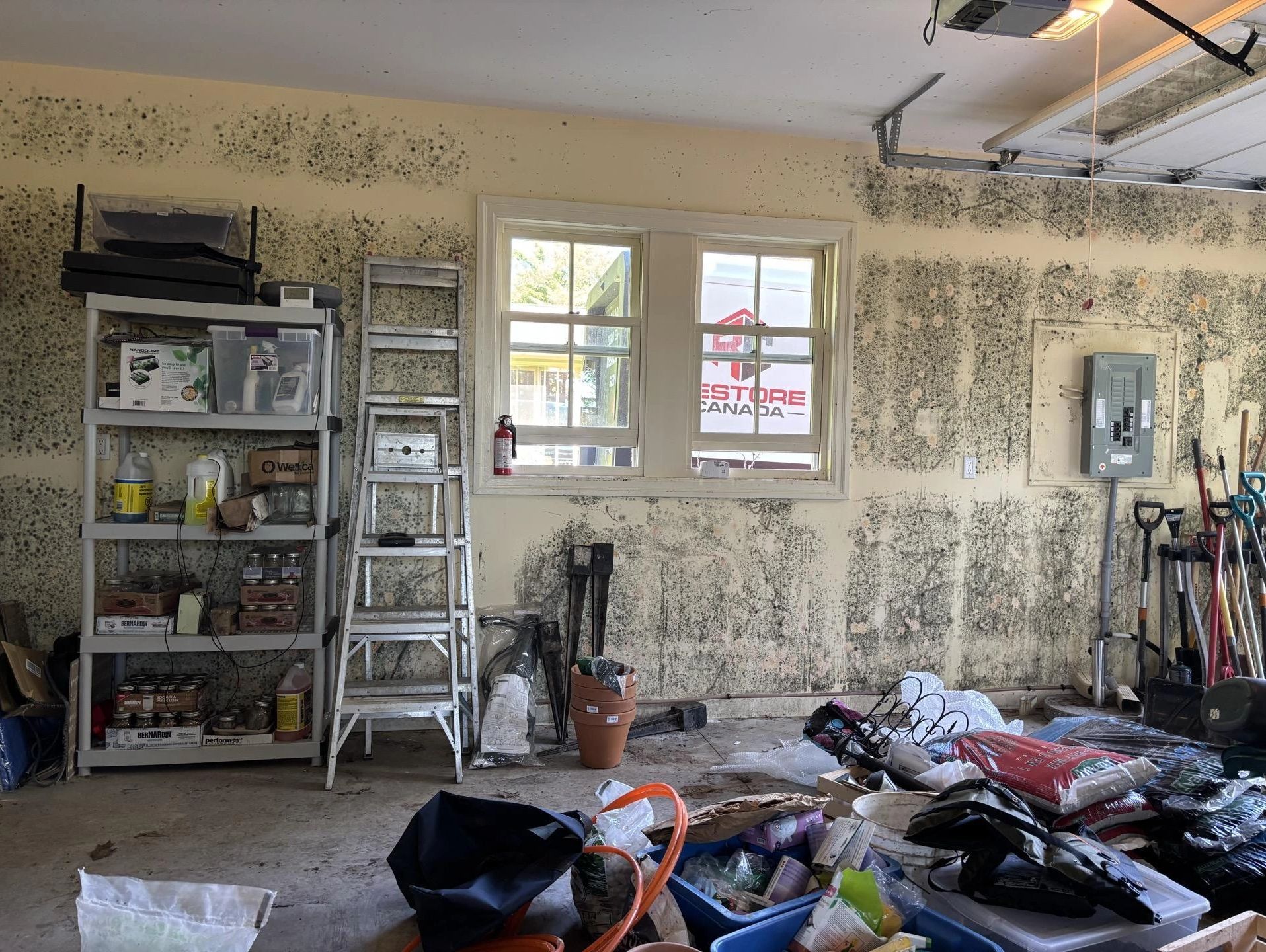 Mold infestation in a cluttered garage.