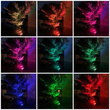 Color Changing Lights