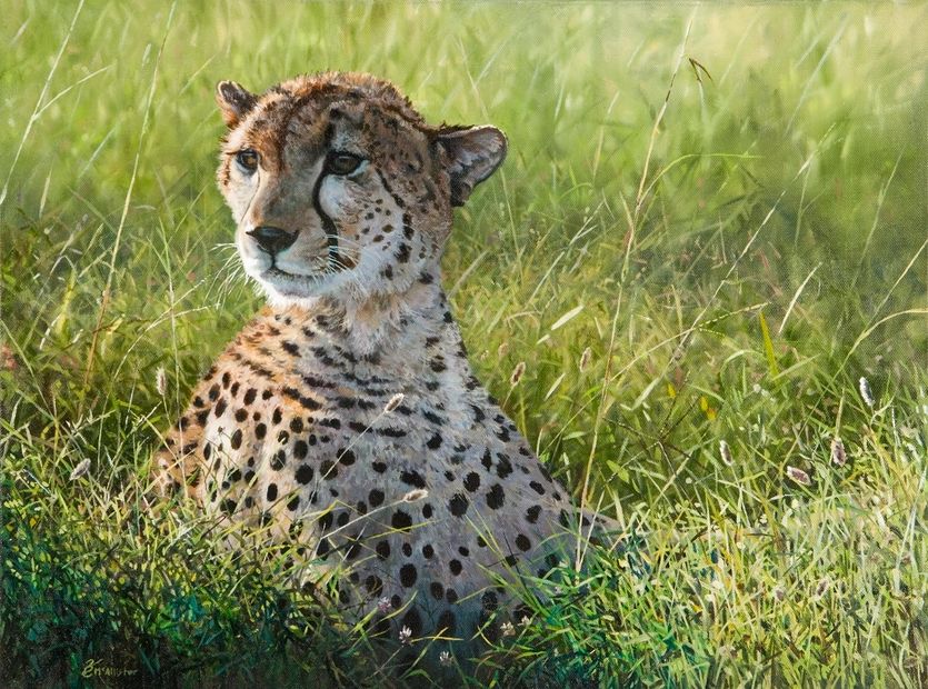 Keith McAllister art artwork cheetah painting africanwildlife wildlifeart
