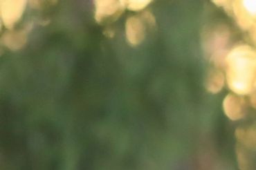 bar mitzvah, family photos, event photographer, maternity photos, design best photographer