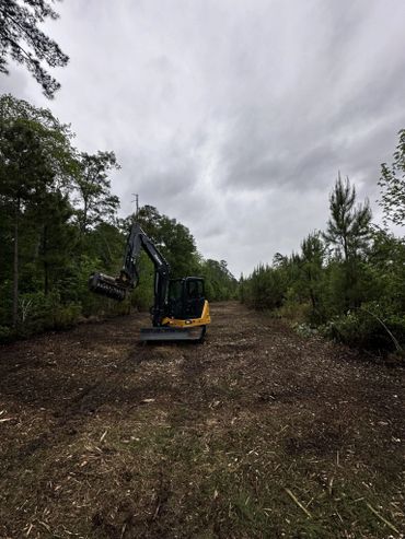 Our excavator mounted forestry mulching unit posing on a freshly mulched job.
