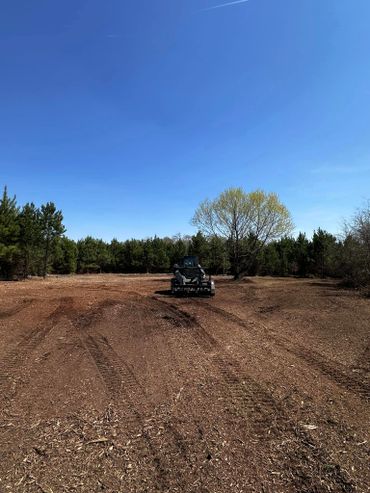 A customer's land after using our forestry mulching services.