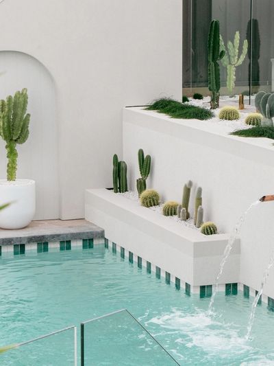 Modern pool area with cacti and water features.