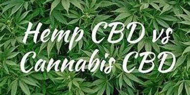 This image has many hemp plants and is title hemp CBD vs Cannabis CBD