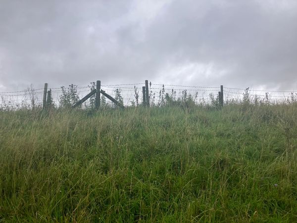 Path along Yorkshire Wolds Way