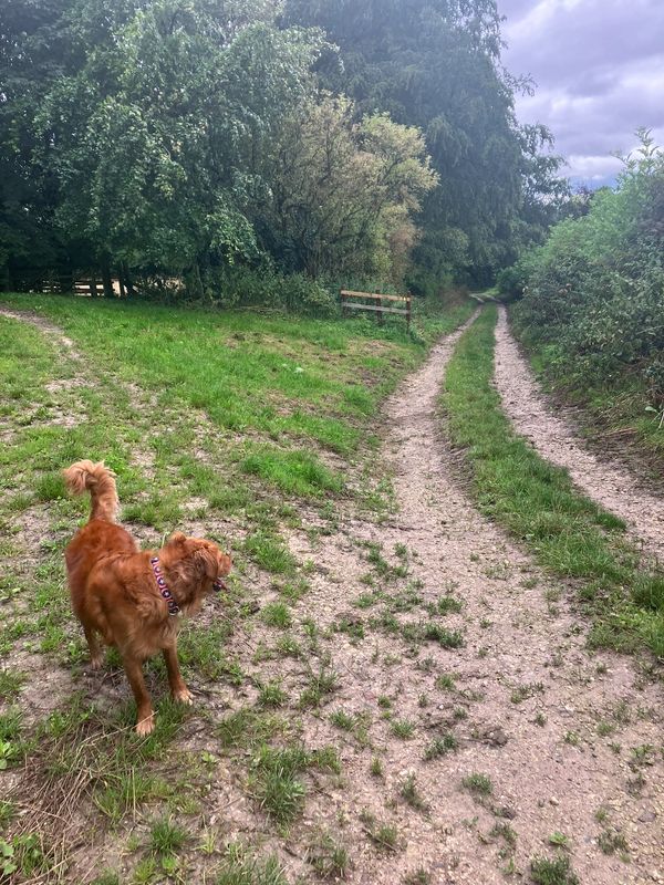 Path to Great Givendale