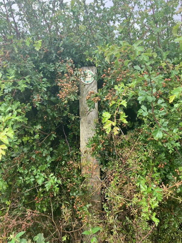 Way marker Yorkshire Wolds Way