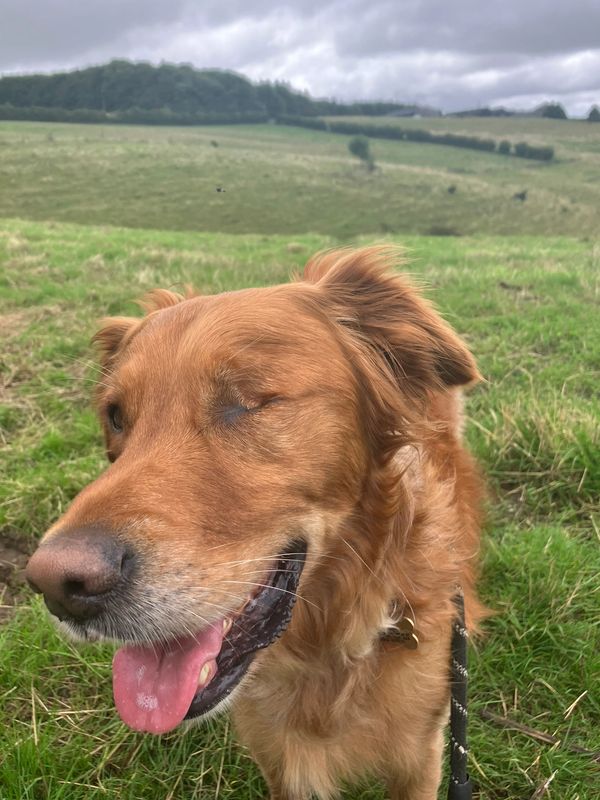 Bill and Yorkshire Wolds