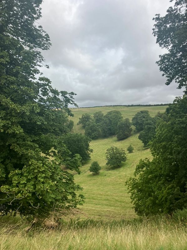 View over the Yorkshire Wolds