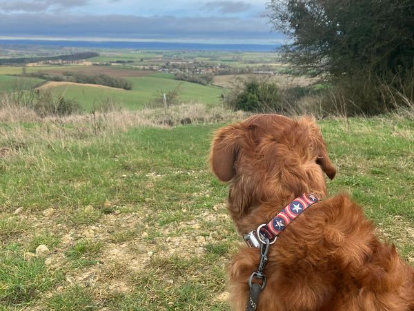 Bill overlooking the Wolds
