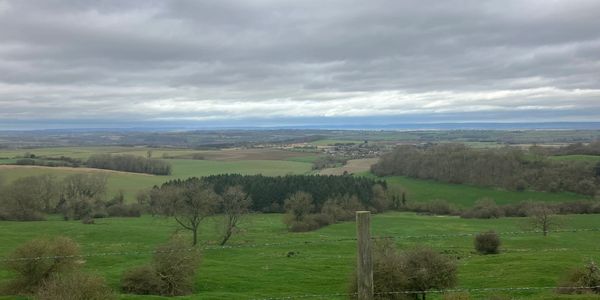 From Leavening Brow