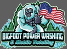 Bigfoot Power Washing and  Mobile Detailing
