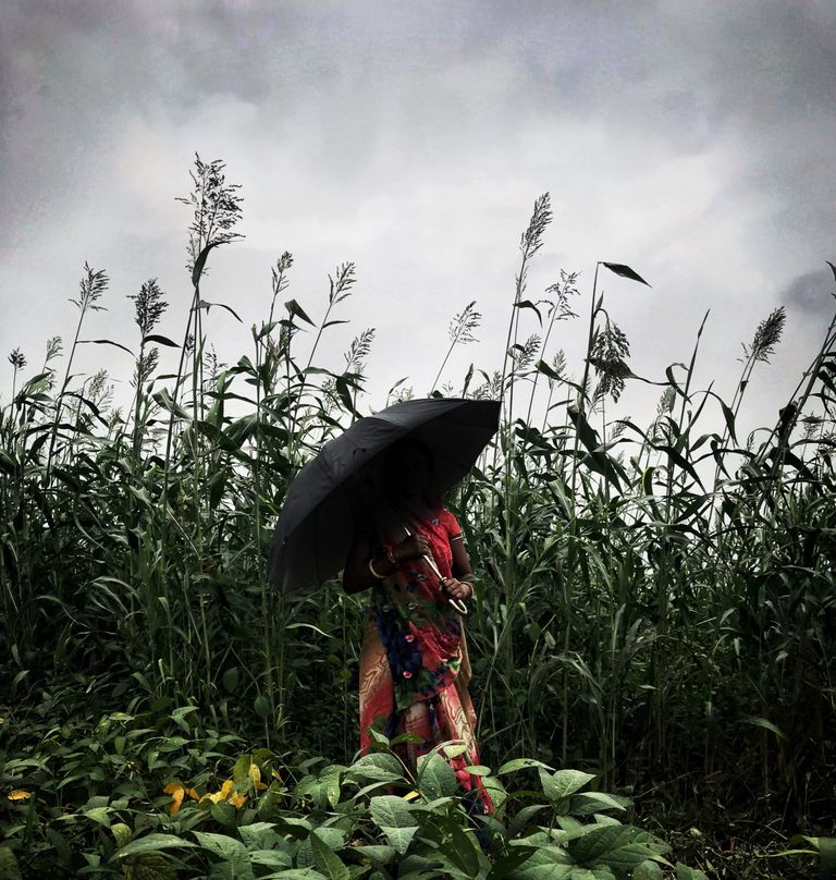 The Cow Mask Project , Sujatro Ghosh , Holy Cow , Rape Culture , Rape , Cow , Hindutva , Mask