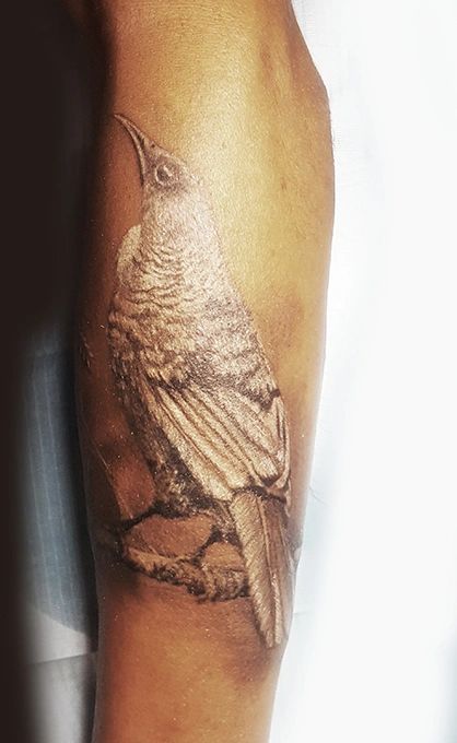 tui tattoo Christchurch tattooist tattoo artist best tattoo Sumner Obsidian Ink. Ivar Treskon artist