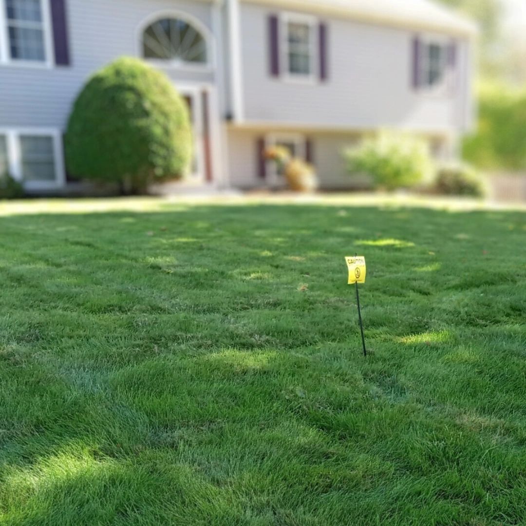 a client's lawn just after being fertilized. green and thick with the yellow fertilization flag.