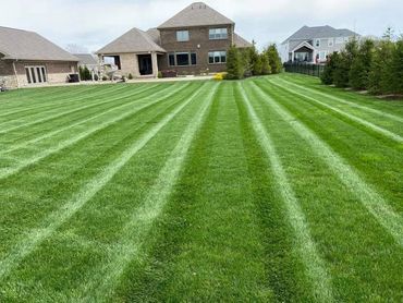 Well-maintained lawn with striped mowing patterns in front of suburban houses.