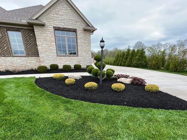 Well-maintained front yard with green grass and neatly trimmed shrubs.
