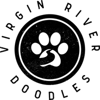 Virgin River Doodles