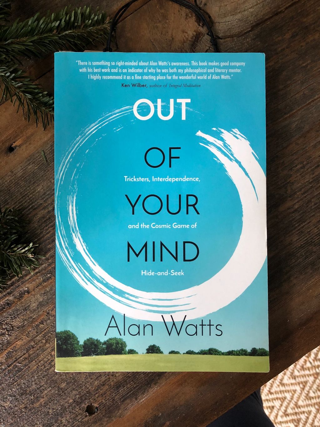 cover image of OUT OF YOUR MIND: Tricksters, Interdependence, and the Cosmic Game of Hide-and-Seek