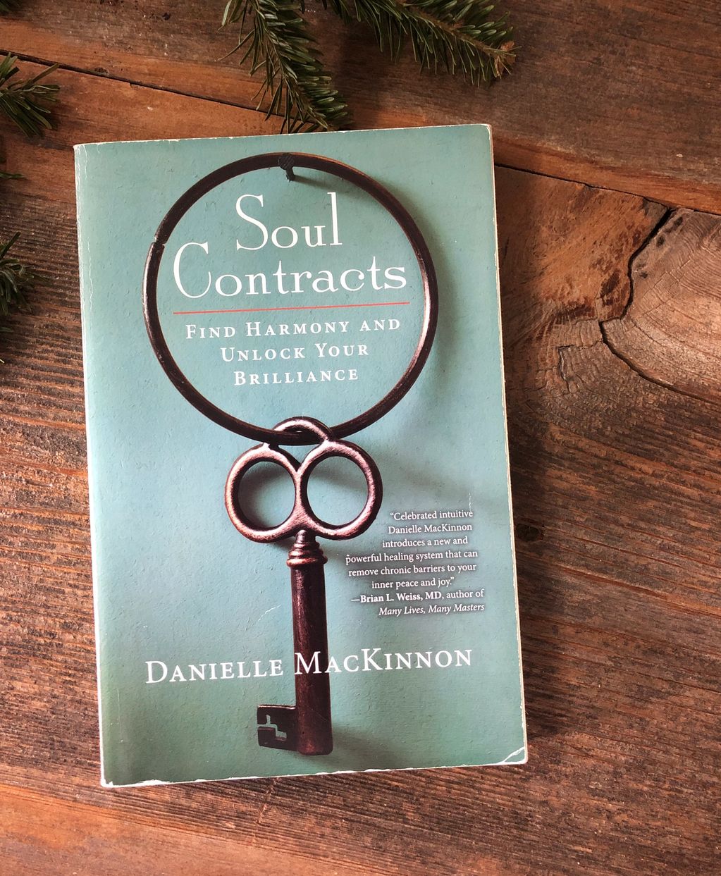 cover image of Soul Contracts: Find Harmony and Unlock Your Brilliance by Danielle MacKinnon
