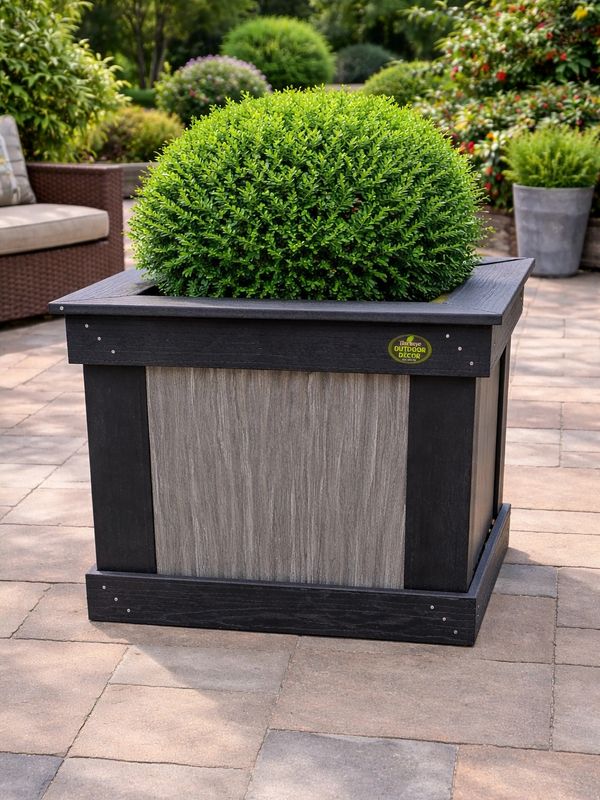 A round green shrub in a modern square planter on a patio.