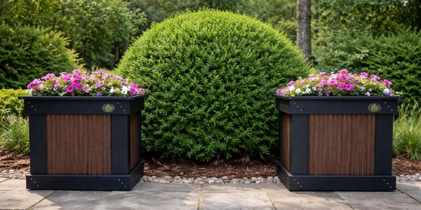 Two wooden planters with colorful flowers flank a round green shrub in a garden.
