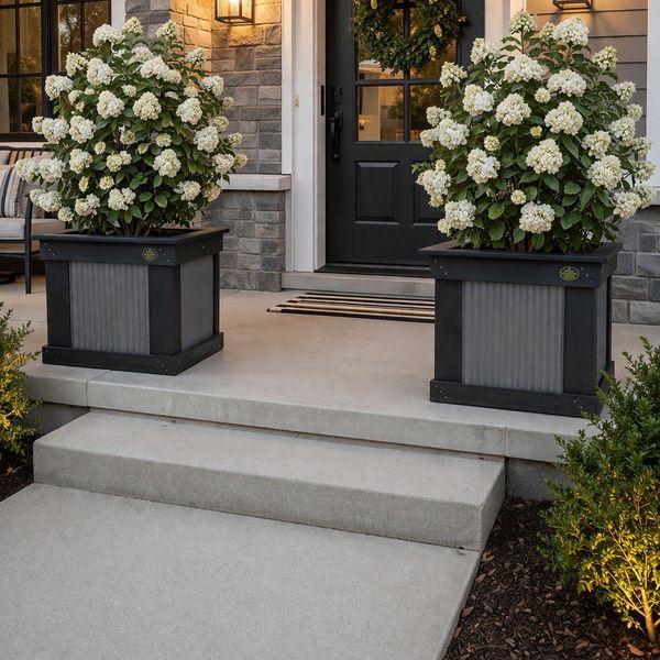 Two large planters with white flowers flank a front door with a wreath.