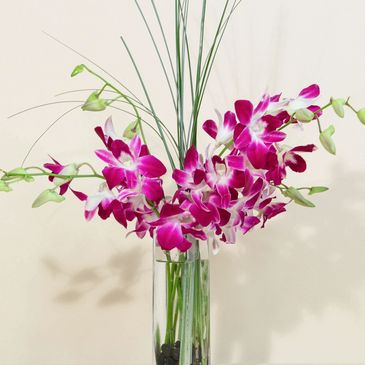 orchid arrangement
