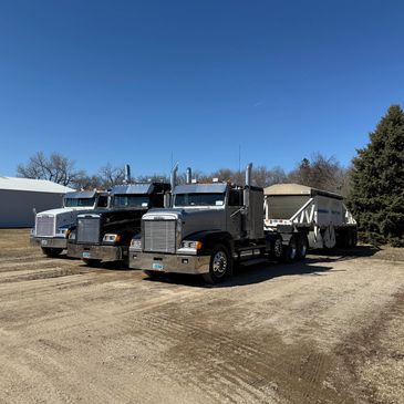 Three semi trucks parked side by side on a dirt lot under clear blue sky.