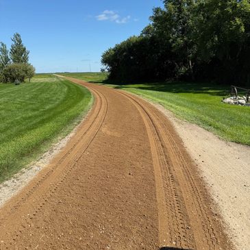 Curved dirt road bordered by green grass and trees under a clear blue sky.