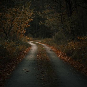 A winding road through a dark, autumn forest with fallen leaves.