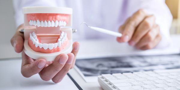 Profesionales especializados