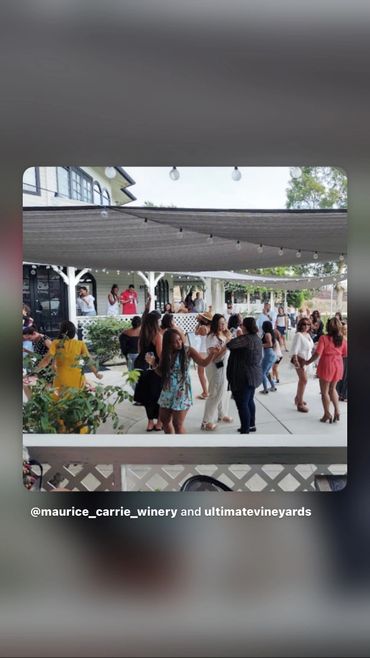 People enjoying a lively outdoor gathering at a winery with string lights overhead.