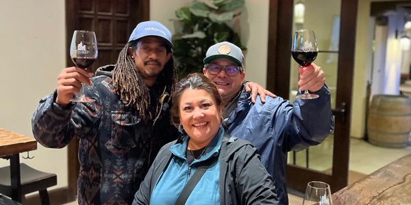 Three friends cheer with wine glasses inside a cozy bar or winery.