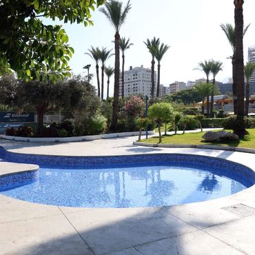 Outdoor swimming pool surrounded by palm trees and greenery in an urban area.